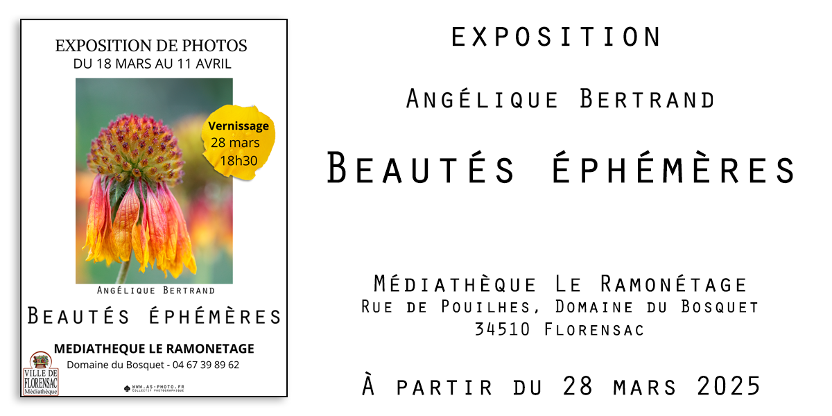 Mediathèque Le Ramonétage