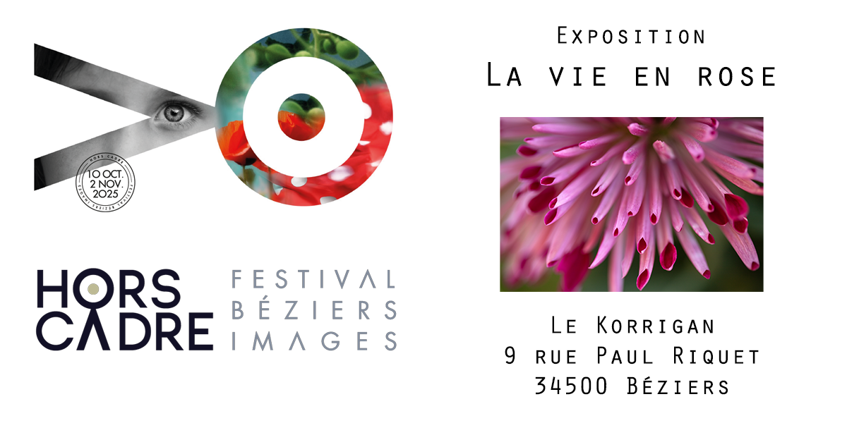 Festival Hors Cadre - Expo « La vie en rose »